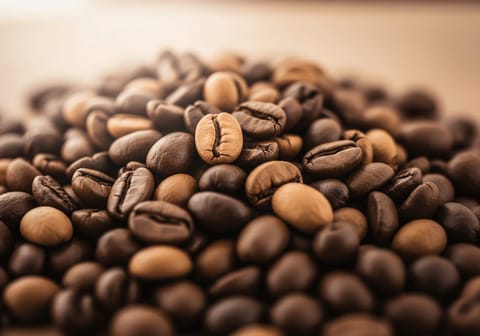 Arabica vs. Robusta: Welcher Kaffee passt zu dir? Der ultimative Geschmacksvergleich