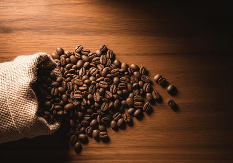Die besten Espressobohnen: Empfehlungen für Siebträger und Vollautomaten
