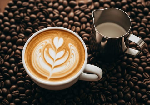 Cappuccino perfekt zubereiten: Milchschaum-Geheimnisse und mehr