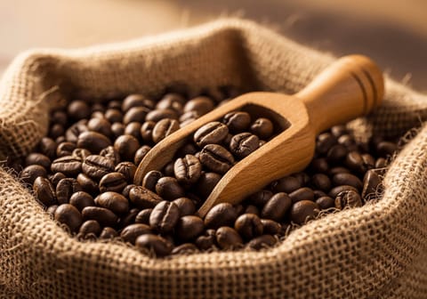 Single Estate Kaffee: Der besondere Genuss aus einer Hand