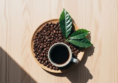 Was ist Kaffee? Definition & Erklärung
