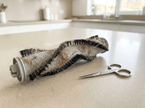 Shark Staubsauger Bürstenrolle reinigen: Haare entfernen ohne Werkzeug