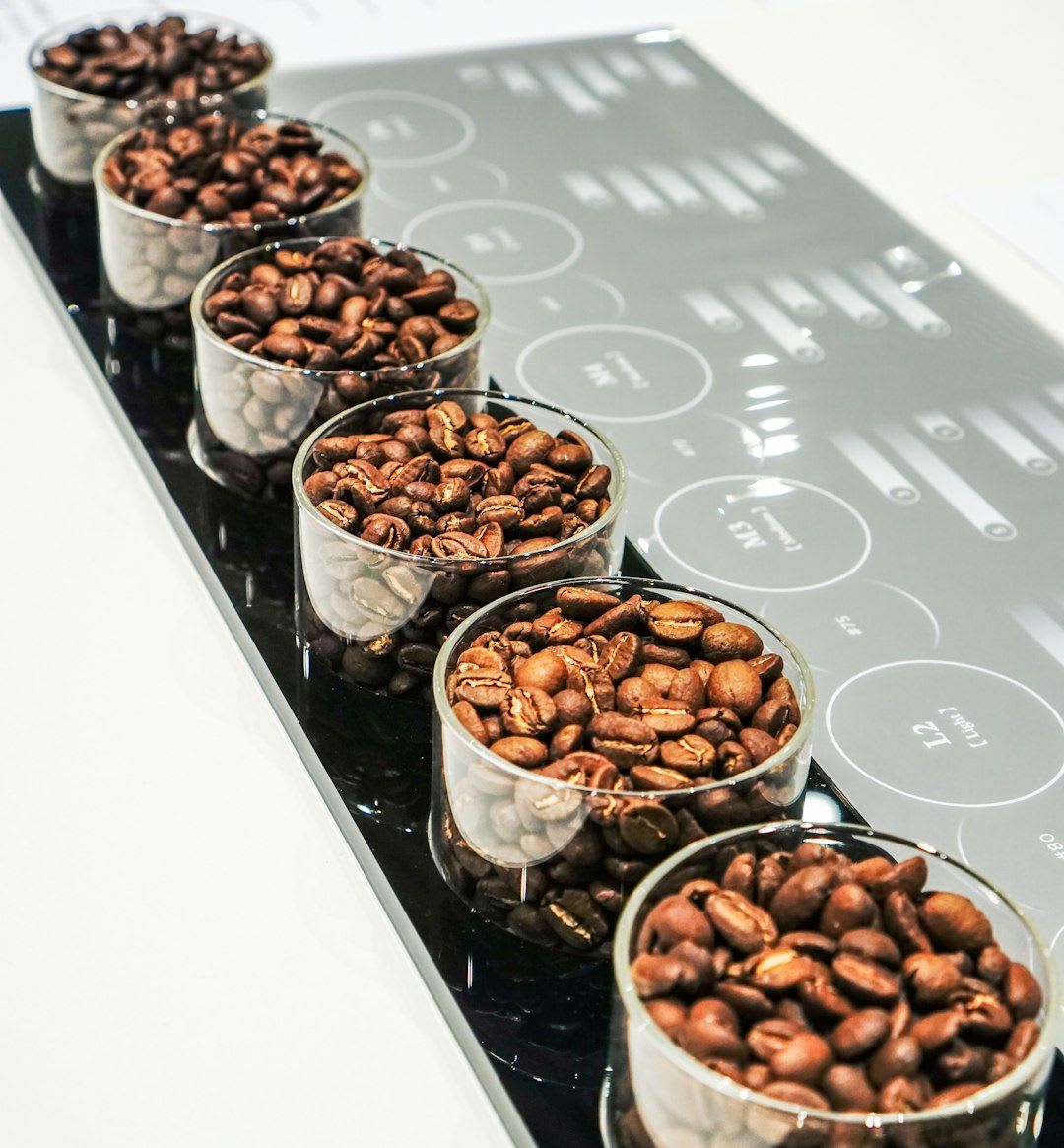 Vergleich von Rohkaffeebohnen nach unterschiedlicher Kaffee-Fermentation, die die Vielfalt der resultierenden Geschmacksprofile zeigen. | Foto: KWON JUNHO