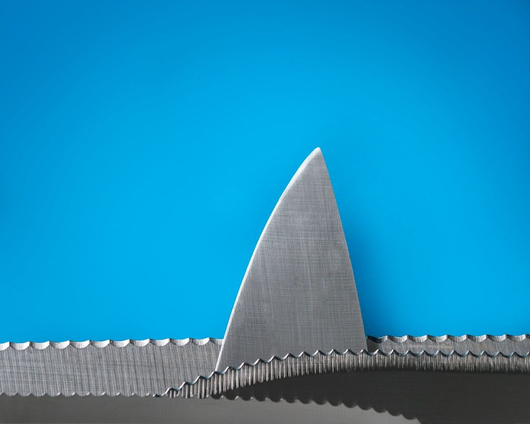 Staubbehälter eines Shark Staubsaugers entleeren, ein wichtiger Schritt beim Reinigen für konstante Saugkraft. | Foto: Stoica Ionela