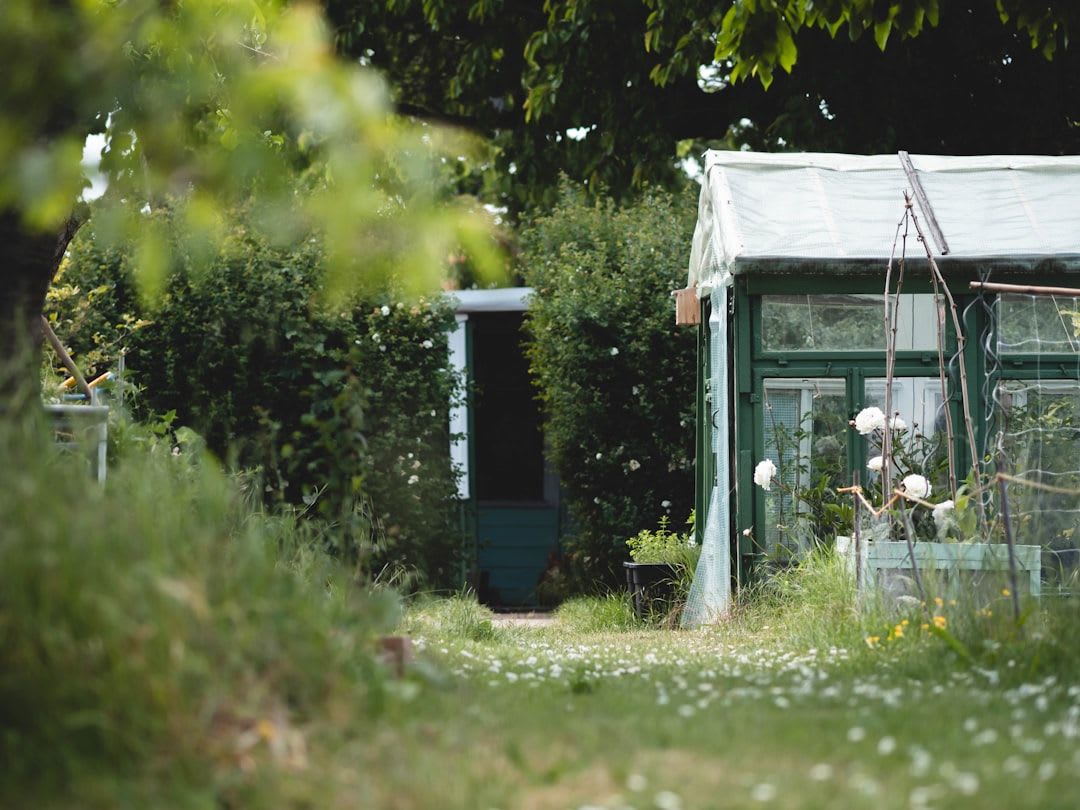 Aufgeständerte Solarmodule im Garten als Beispiel für die Berechnung des Balkonkraftwerk Ertrags. | Foto: Eileen Kummer